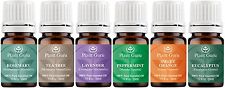 Essential Oil Set - 6 Pack - 100% Pure Natural Therapeutic Grade Oils Lot 5 ml.