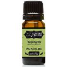 Frankincense Essential Oil, 100% Pure, Therapeutic Grade