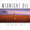 Midnight Oil - Essential Oils CD