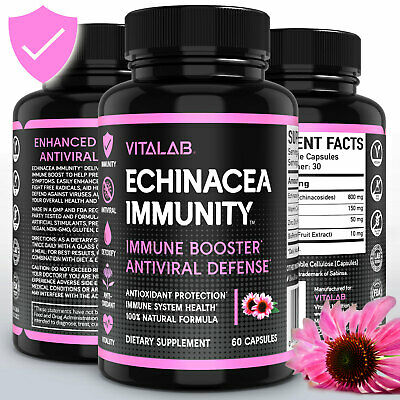 Echinacea Capsules Immune Booster Echinacea Extract Extra Strength Pills