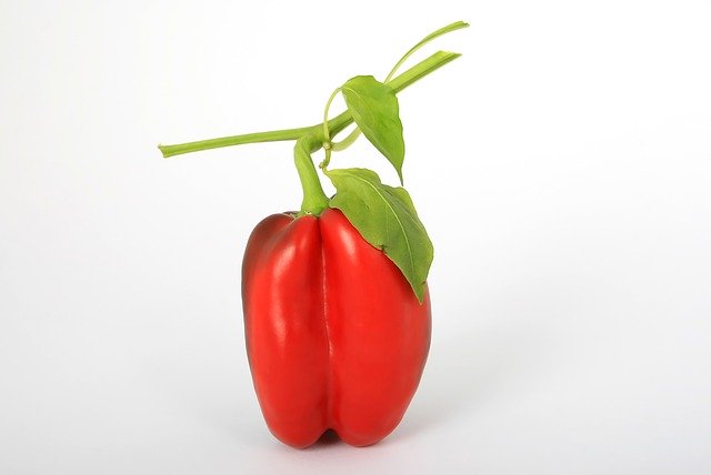 bell pepper, red, vegetable