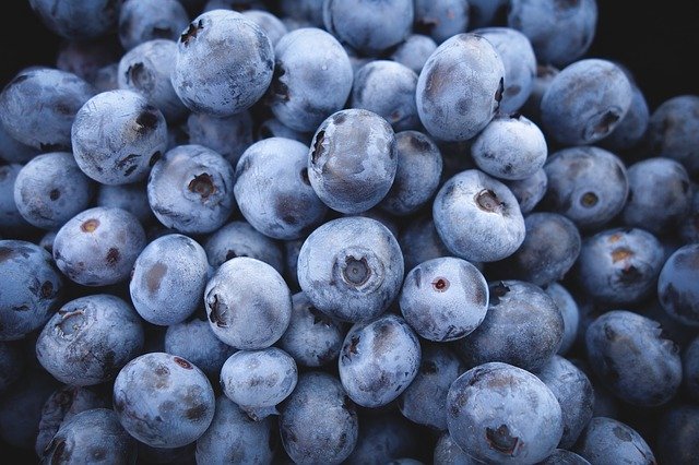 blueberries, fruit, food