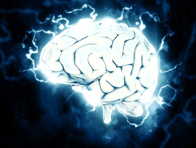brain, electrical, knowledge