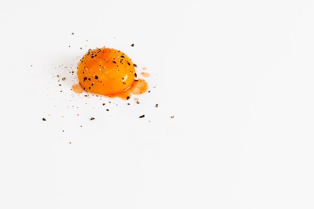 egg yolk, protein, nutrition