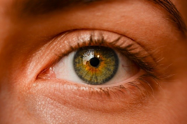 eye, iris, sight
