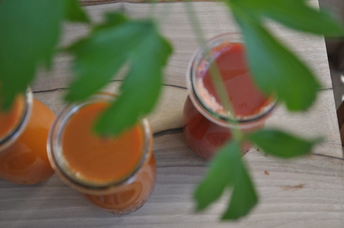 apple vegetables leaf juice fresh greens carrot juices... (Photo: masurianlake on Flickr)