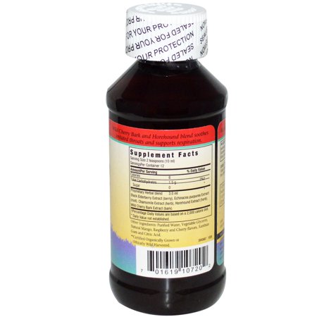 Herbs for Kids Elderberry Syrup Respiratory Support Liquid, 4 Fl Oz